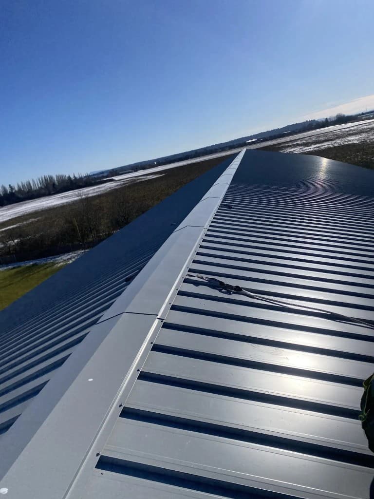 Metal Roofing